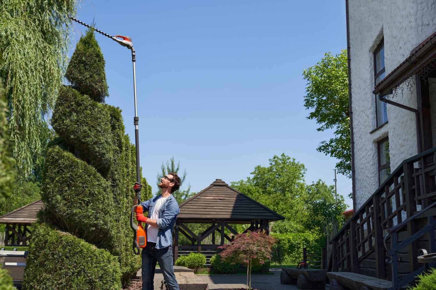 Best Affordable Tree Service  in South Waverly, PA